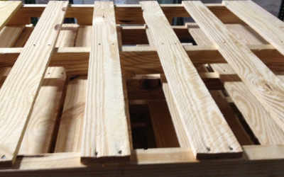 2 Most Common Wood Species for Pallets and Why