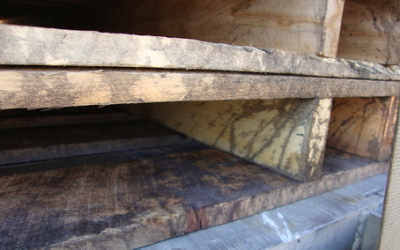 Can Your Moldy Wood Pallets Be Saved? Maybe...