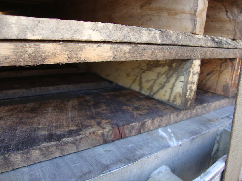 Can Your Moldy Wood Pallets Be Saved? Maybe...