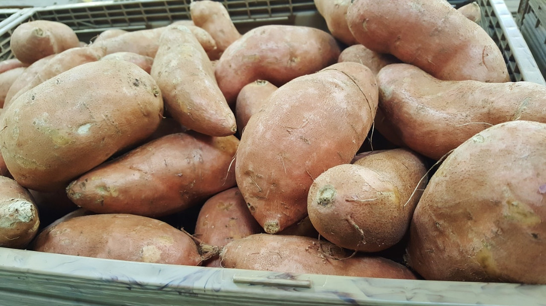 Plastic Ventilated Containers Benefit Agricultural Industry
